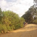 btt_2013 373